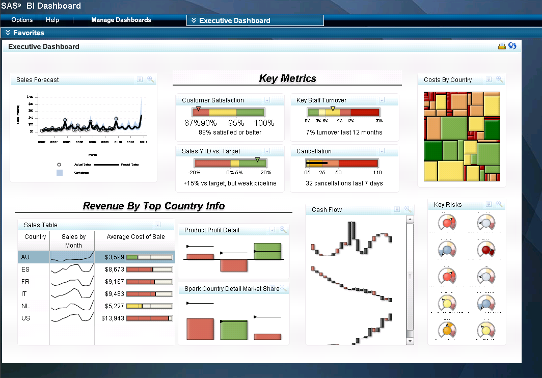 SAS BI Dashboard 4.31