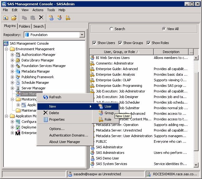 SAS Enterprise Miner Log On window