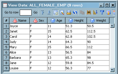 Sample Target Table in the View Data Window