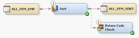 Process Flow with a Return Code Check Transformation