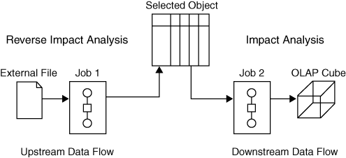 Differentiating Impact Analysis and Reverse Impact Analysis