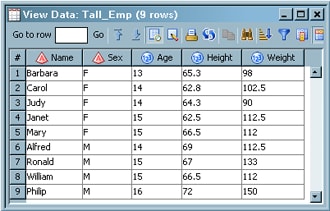 Sample View Data Window