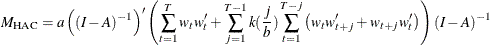 \[  M_{\mr {HAC}}=a\left((I-A)^{-1}\right)’\left(\sum _{t=1}^{T}{w_ t w_ t’}+\sum _{j=1}^{T-1}{k(\frac{j}{b})\sum _{t=1}^{T-j}{\left(w_ t w_{t+j}’ + w_{t+j} w_{t}’\right)}}\right)(I-A)^{-1}  \]