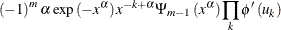 $\displaystyle \left( -1\right) ^{m}\alpha \exp \left( -x^{\alpha }\right) x^{ -k+\alpha }\Psi _{m-1}\left( x^{\alpha }\right) \prod \limits _{k}\phi ^{\prime }\left( u_{k}\right)  $