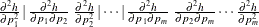 $\frac{\partial ^2 h}{\partial p_1^2} \,  | \,  \frac{\partial ^2 h}{\partial p_1 \partial p_2} \;  \frac{\partial ^2 h}{\partial p_2^2} \,  | \cdots | \,  \frac{\partial ^2 h}{\partial p_1 \partial p_ m} \;  \frac{\partial ^2 h}{\partial p_2 \partial p_ m} \cdots \frac{\partial ^2 h}{\partial p_ m^2}$