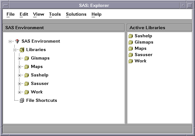 SAS Explorer Window