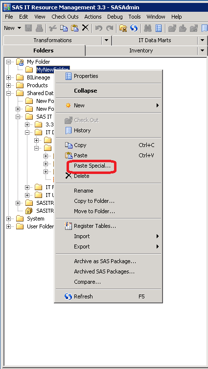 Paste Special Action of an IT Data Mart