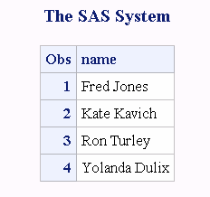 Output from the DATA Step