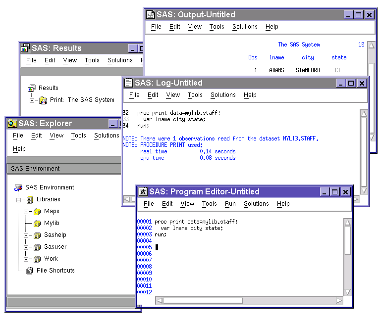 SAS Windowing Environment