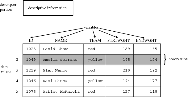 Representation of a SAS Data Set