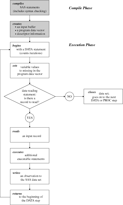 Flow of Action in the DATA Step