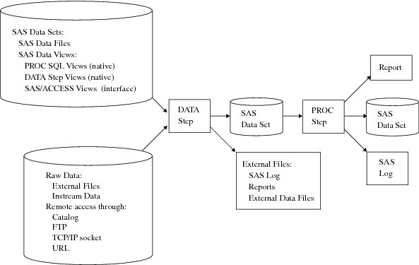 SAS Processing