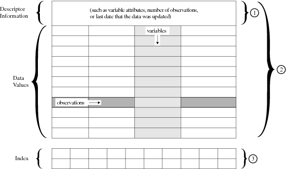 Logical Components of a SAS Data Set