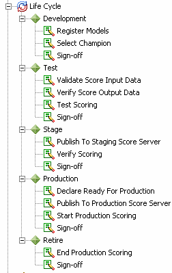 Organization of a Life Cycle Template