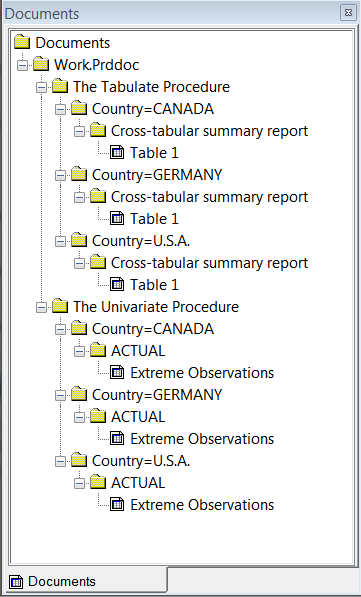 SAS Documents Window Showing Document and Documents Icon