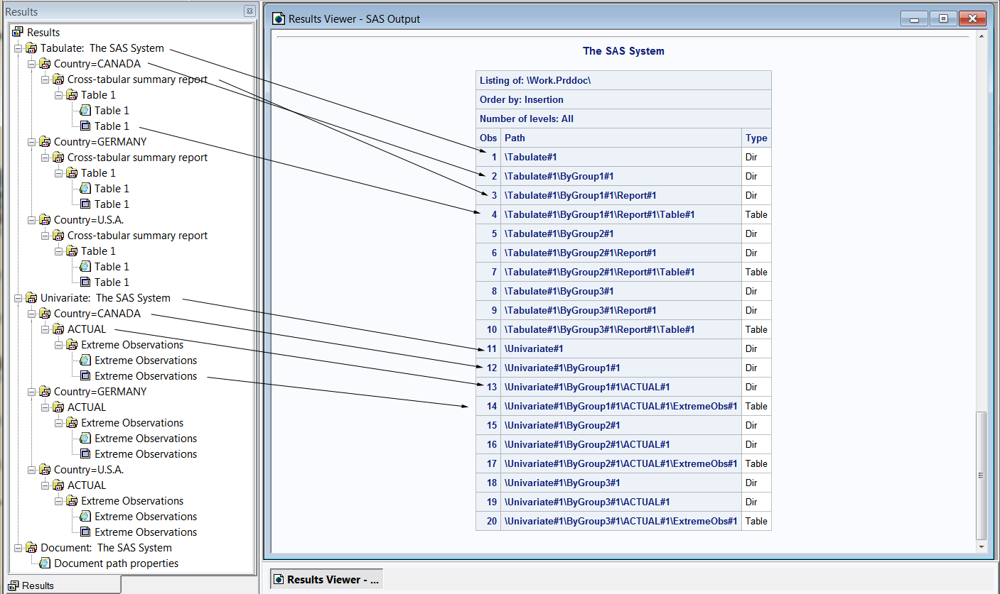 PROC DOCUMENT List Output Compared to Results Window