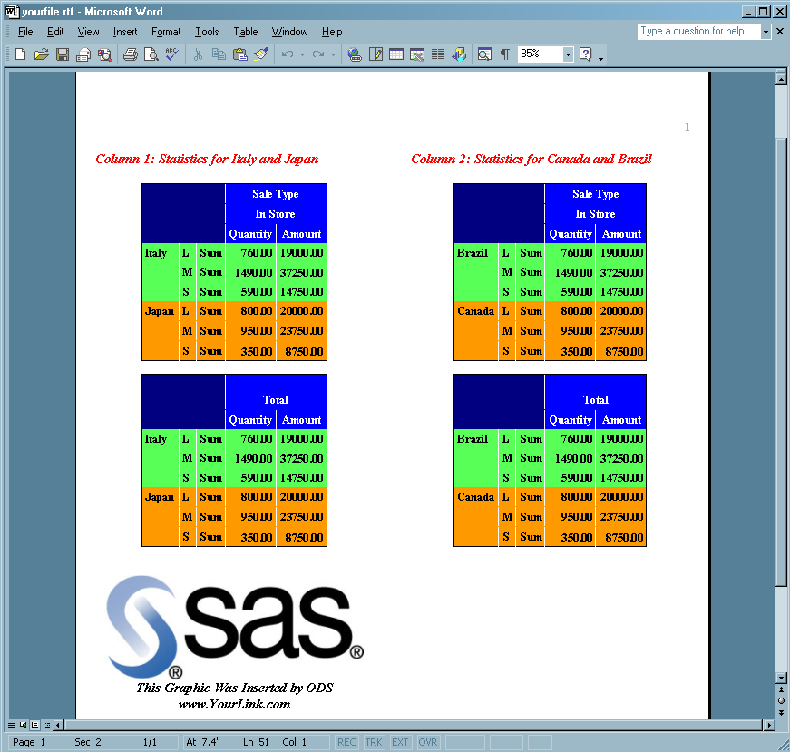 RTF Output Viewed with Microsoft Word