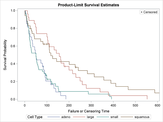 Graph of the Estimated Survivor Functions