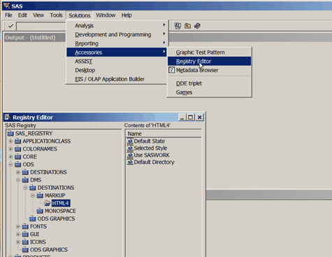  SAS Registry Window