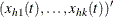 $\displaystyle  (x_{h1}(t), \ldots , x_{hk}(t))’  $