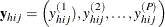 $\mb {y}_{hij}=\left( y_{hij}^{(1}), y_{hij}^{(2)}, \ldots , y_{hij}^{(P)}\right)$