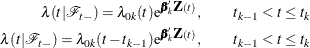 \begin{eqnarray*}  \lambda (t|\mc {F}_{t-}) = \lambda _{0k} (t) \mr {e}^{\bbeta _ k\bZ (t)}, & &  t_{k-1}< t \le t_ k\\ \lambda (t|\mc {F}_{t-}) = \lambda _{0k}(t-t_{k-1}) \mr {e}^{\bbeta _ k\bZ (t)}, & &  t_{k-1}< t \le t_ k \end{eqnarray*}