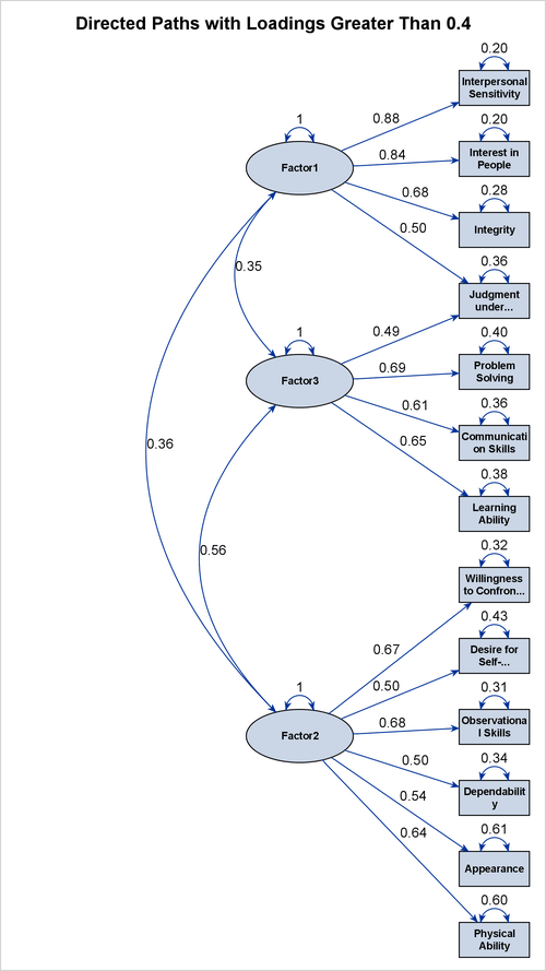 Path Diagram Showing Strong Links