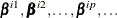 $\bbeta ^{i1}, \bbeta ^{i2}, \ldots , \bbeta ^{ip},\ldots $