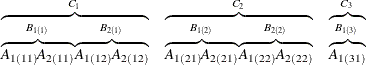 \[  \begin{array}{c c c} \overbrace{\overbrace{A_{1(11)} A_{2(11)}}^{B_{1(1)}} \overbrace{A_{1(12)} A_{2(12)}}^{B_{2(1)}}}^{C_1} &  \overbrace{\overbrace{A_{1(21)} A_{2(21)}}^{B_{1(2)}} \overbrace{A_{1(22)} A_{2(22)}}^{B_{2(2)}}}^{C_2} &  \overbrace{\overbrace{A_{1(31)}}^{B_{1(3)}}}^{C_3} \end{array}  \]