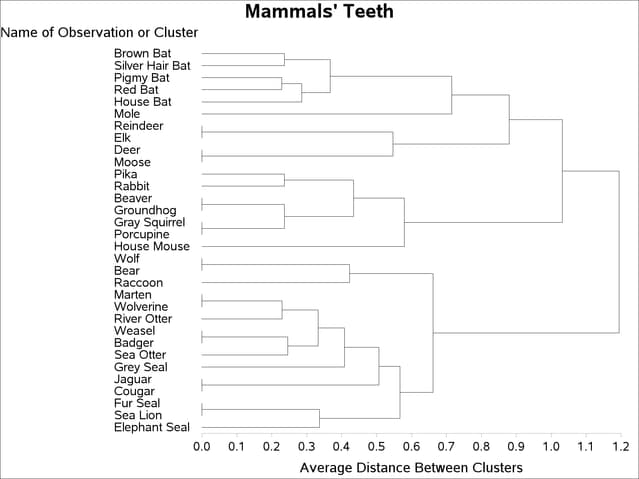 Tree Diagram of Mammal Teeth Clusters