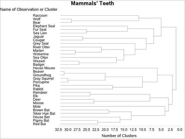 PROC TREE with SORT and HEIGHT= Options