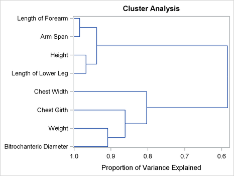 Dendrogram